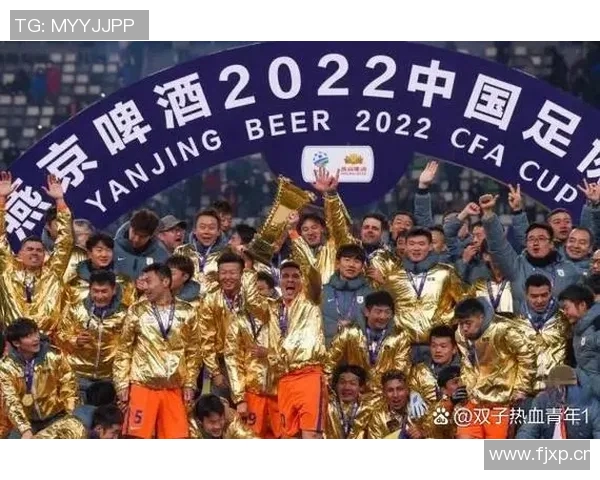 龙杯传承：史诗般的龙之征程