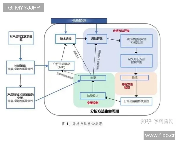 济州联队与城南对决赛果揭晓精彩瞬间回顾与分析 济州联队与城南对决赛果揭晓精彩瞬间回顾与分析