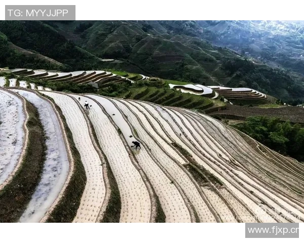 鲁本迪亚斯:从新星崛起到足坛巨星的辉煌历程与未来展望